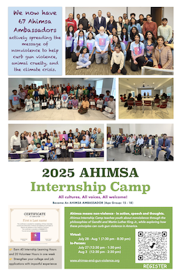 July-August Internship